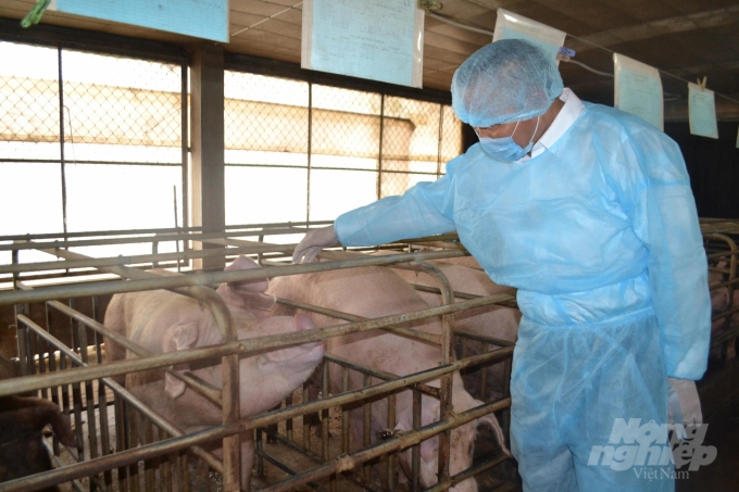 Thứ trưởng Bộ NN-PTNT Phùng Đức Tiến kiểm tra thực tế tình hình chăn nuôi tại Đồng Nai ngày 4/5. Ảnh: Đinh Tùng.