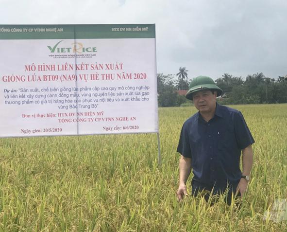 Thứ trưởng Lê Quốc Doanh (trái) kiểm tra mô hình liên kết sản xuất giống lúa BT09 (NA9). Ảnh: Việt Khánh.
