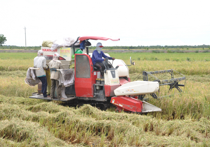 Sản xuất lúa trên cánh đồng lớn tại tỉnh Kiên Giang của Công ty Trung An - đơn vị xuất những lô gạo đầu tiên sang EU khi Hiệp định EVFTA đã chính thức có hiệu lực kể từ 1/8/2020. Ảnh: Hữu Đức.