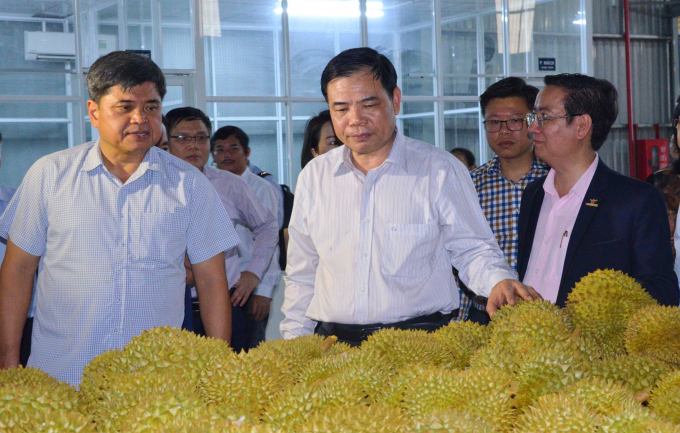 Bộ trưởng Bộ NN-PTNT Nguyễn Xuân Cường (giữa) và Thứ trưởng Bộ NN-PTNT Trần Thanh Nam (trái) thăm cơ sở sản xuất thu mua sầu riêng của Công ty Vina T&T Group hồi đầu năm 2020. Ảnh: Minh Đãm.