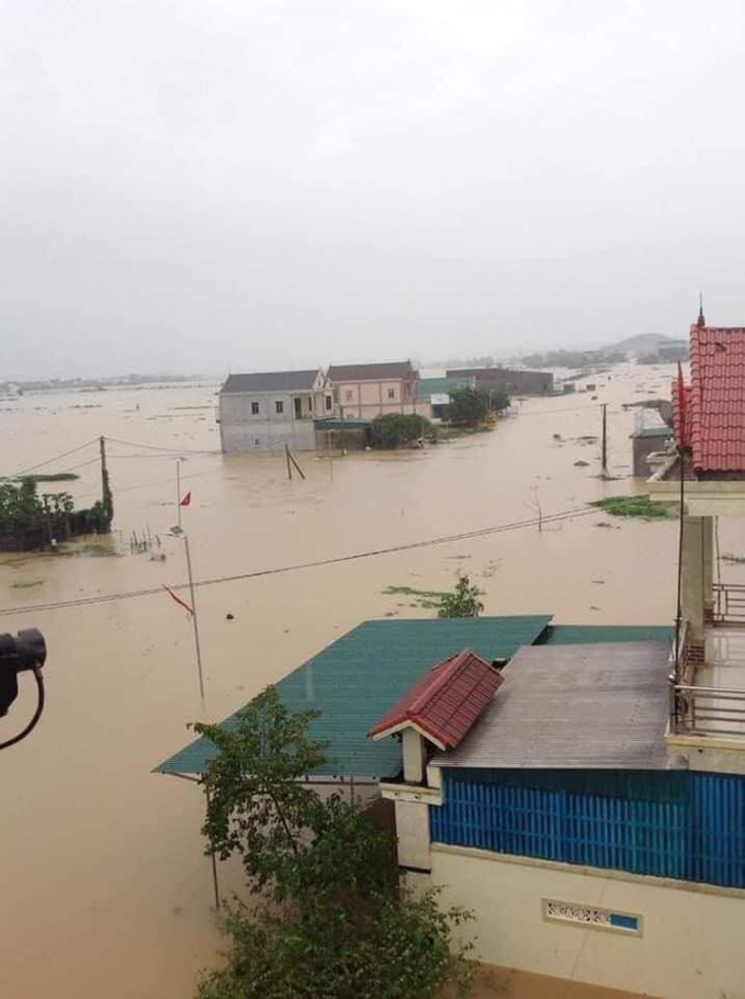 Một phần nguyên nhân dẫn đến ngập úng tại huyện Yên Thanh bắt nguồn từ sự cố sạt lở tại hệ thống kênh chính của đập Bara Đô Lương. Ảnh: Thanh Tâm.