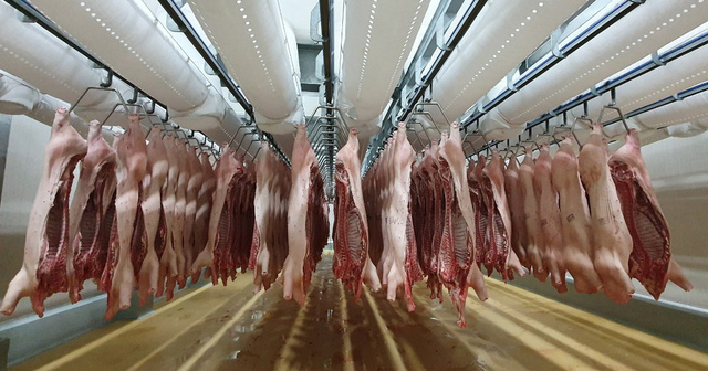 Thịt lợn nhập khẩu tăng tới 357% về lượng trong 9 tháng đầu năm. Ảnh: TL.