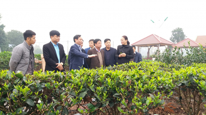 Thứ trưởng Lê Minh Hoan (thứ 3 từ phải sang) thăm HTX chè Hảo Đạt. Ảnh: Đồng Văn Thưởng.