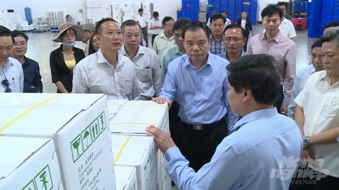 Bộ trưởng Nguyễn Xuân Cường cùng đoàn công tác thăm khu vực thành phẩm của Công ty Hoàng Sơn I. Ảnh: Anh Ngọc.