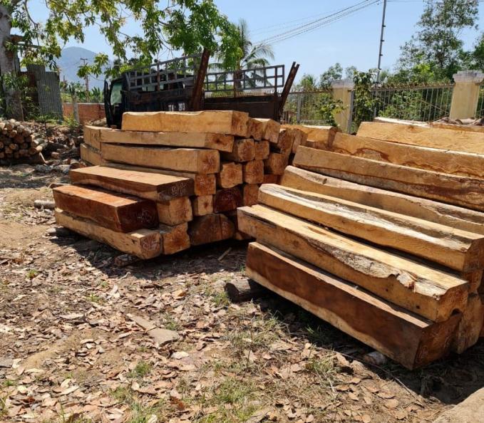 Tổng khối lượng hơn 42m3 gỗ bị khai thác trái phép.
