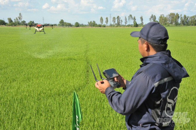 The use of drones has been effective on rice, but there have been no scientific studies on their effectiveness other crops. Photo: TL.