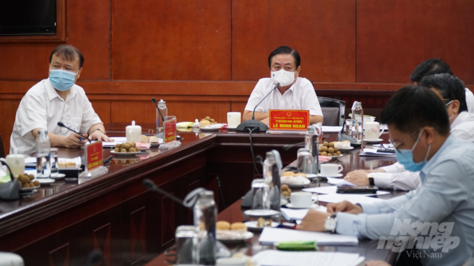 Bộ trưởng Lê Minh Hoan chủ trì cuộc họp trực tuyến về tình hình sản xuất, tiêu thụ lúa gạo tại ĐBSCL. Ảnh: Đức Minh.