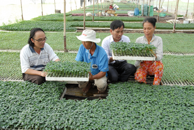 Phát triển HTX là một trong những nhiệm vụ trọng tâm của ngành nông nghiệp. Ảnh: Lê Hoàng Vũ.