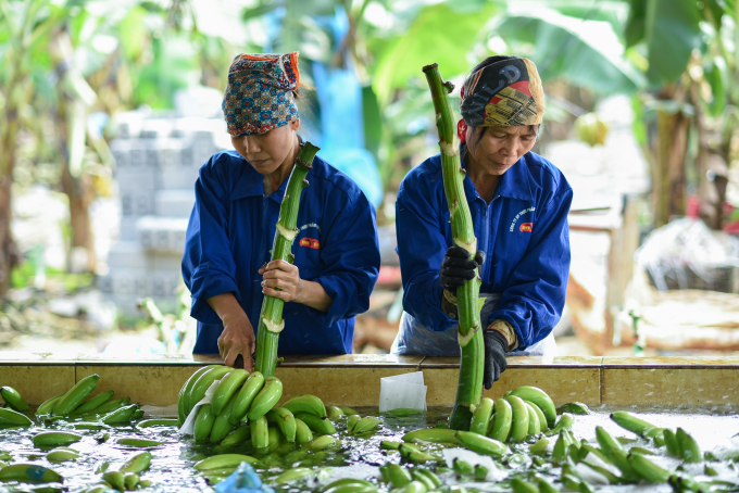 Các cơ quan chuyên môn Trung Quốc đặt ra các tiêu chuẩn chất lượng, an toàn thực phẩm, kiểm dịch theo thông lệ quốc tế, và nhiều tiêu chuẩn mới mang tính đặc thù của mỗi nước. Ảnh: Tùng Đinh.