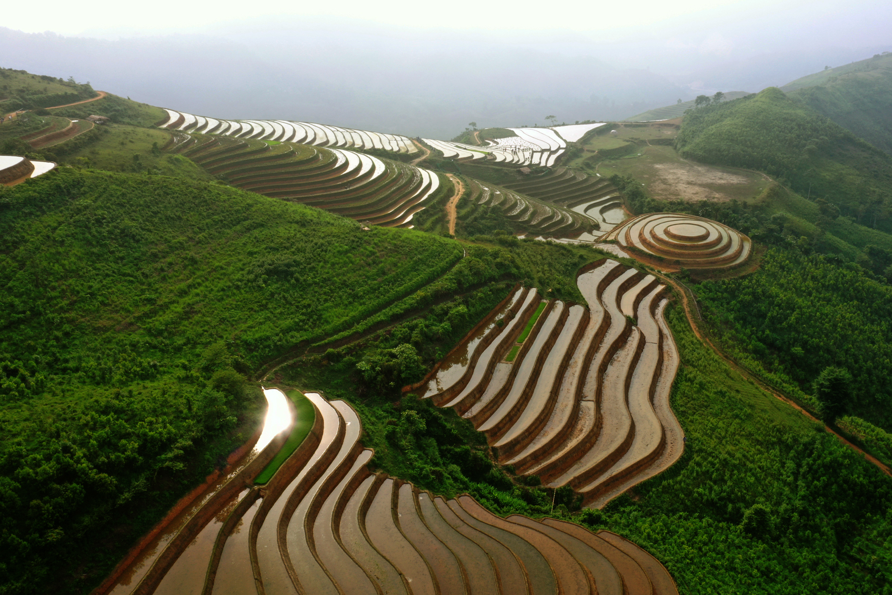 At this time of the year, farmers in Phong Du Thuong commune are 'running after' the season, striving to have another successful production crop. Photo: Thanh Mien.