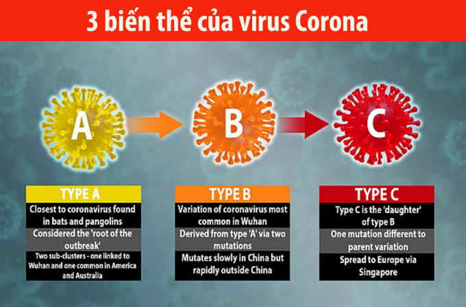 Lịch sử di truyền của virus Corona được phản ánh từ ngày 24/12/2019 đến ngày 4/3/2020, cho thấy ba biến thể khác biệt, nhưng có liên quan chặt chẽ. Các nhà khoa học tin rằng virus có thể liên tục biến đổi để vượt qua khác biệt trong hệ thống miễn dịch ở các quần thể người khác nhau. Ảnh: DailyMail.