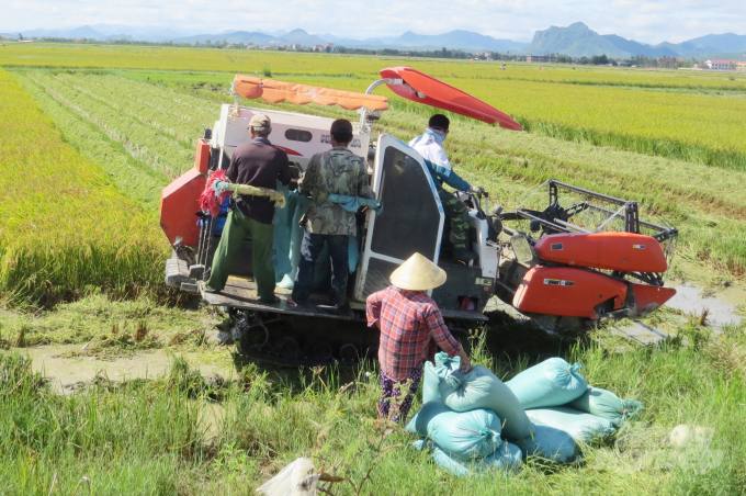 Vượt lên khó khăn, vụ lúa ĐX năm nay, nông dân Quảng Bình được mùa, được giá. Ảnh: T.Phùng.