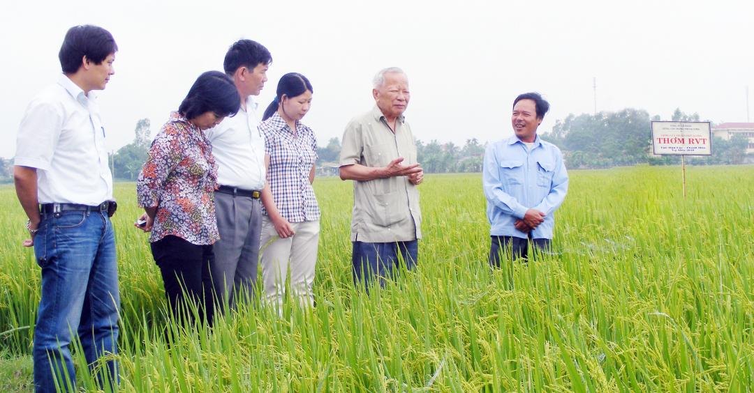 Nguyên Phó Thủ tướng Nguyễn Công Tạn thăm cánh đồng lúa Thơm RVT tại Hậu Lộc - Thanh Hóa vụ mùa năm 2010. Ảnh: Vinaseed.