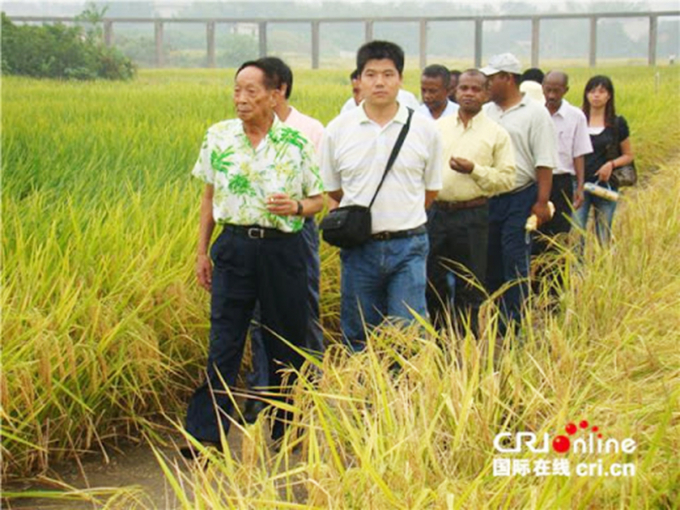 Công lao to lớn của nhà nông học Viên Long Bình giúp quốc gia từng nghèo đói và đông dân số nhất thế giới vượt qua nạn đói. Ảnh: CRI.