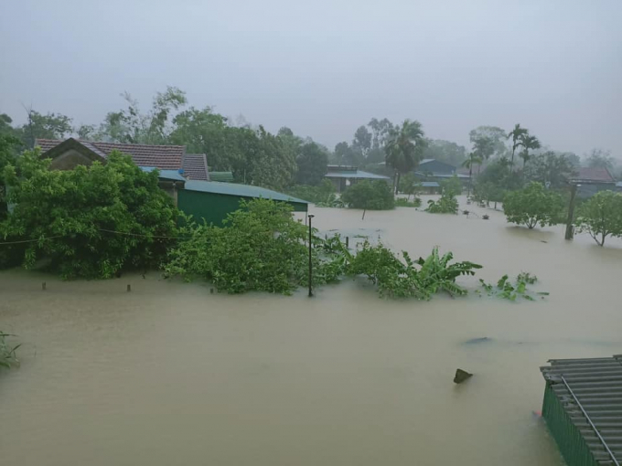 Xóm làng chìm sâu trong lũ lụt.