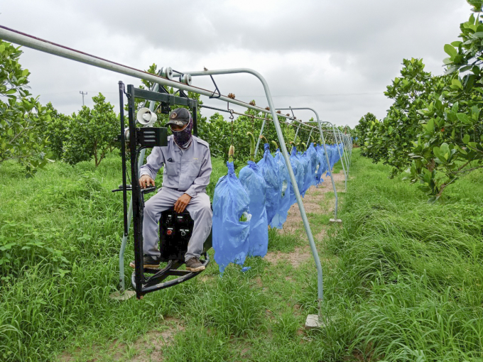 Hệ thống ròng rọc thu hoạch chuối được sử dụng tại HAGL Agrico.