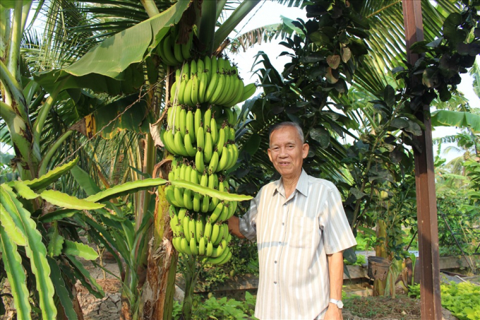 Cựu Phó Thủ tướng Trương Vĩnh Trọng trong vườn nhà ở Bến Tre - Ảnh: Kỳ Quan,