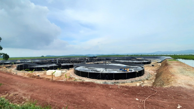 The experimental model of the mobile raising tank transferred by the Quang Ninh Agricultural Extension Center, brings about higher productivity for shrimp farm.  Photo: Anh Thang.