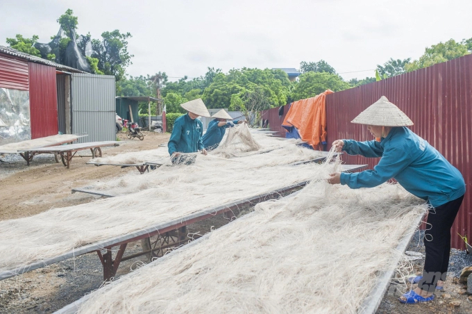 The adoption of an automatic drying production line will reduce difficulty caused by the weather in making vermicelli. Photo: Dong Van Thuong.