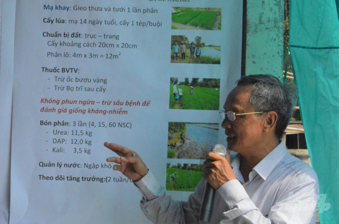 Assoc. Prof. Huynh Quang Tin introduces the characteristics and cultivation process of rice varieties that are crossed with wild rice genetic resources to adapt to climate change. Photo: Trung Chanh.