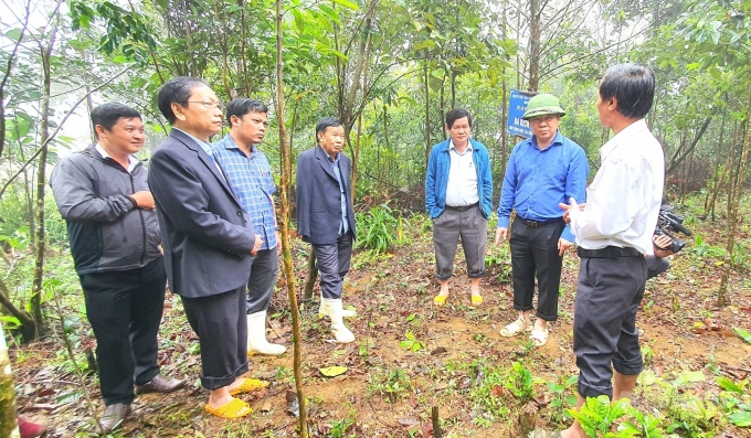 Chairman of the People’s Committee of the province Nguyen Phi Long (second, right) visits the medicinal herb garden of Bidiphar in An Toan commune. Photo: Vu Dinh Thung.