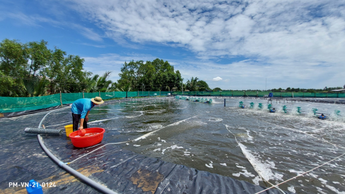 Yem’s shrimp farms apply Elanco Demo Farm model.