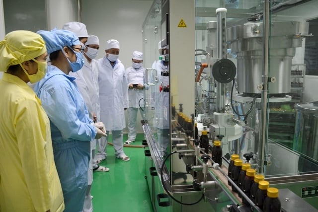 A pharmaceutical production line from medicinal herbs of Quang Ninh Pharmaceutical and Medical Material Joint Stock Company which has met the GMP-WHO standard. Photo: Ba Che Healthcare Centre.
