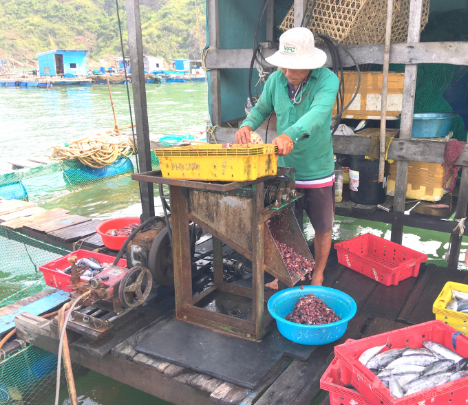Leftover food for fish could also pollute the water area. Photo: Vu Dinh Thung.
