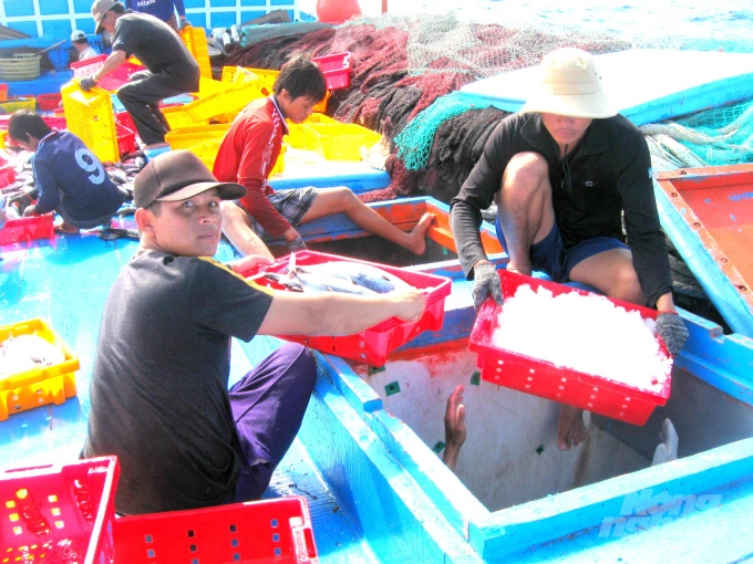 Offshore fishermen have to commit not to use harmful chemicals in salting their seafood. Photo: Vu Dinh Thung.