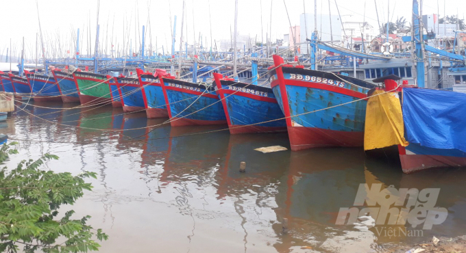 Tam Quan fishing port (Hoai Nhon town) is currently overloaded. Photo: Vu Dinh Thung.