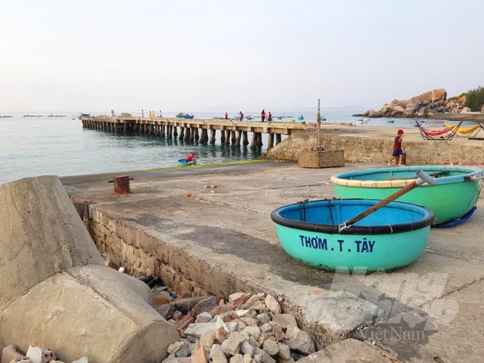 Over time of use and due to severe weather, the wharf of Nhon Chau port (Quy Nhon city) is deteriorating. Photo: Vu Dinh Thung.