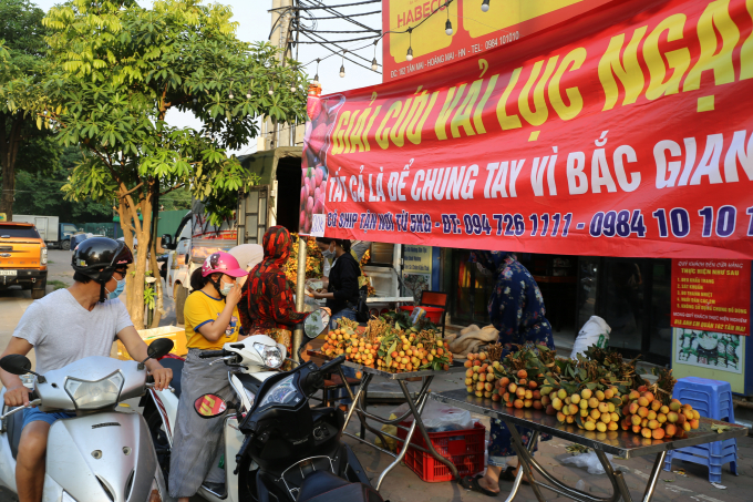 Những ngày qua Hà Nội xuất hiện nhiều điểm bán nông sản Bắc Giang, vải thiều là nông sản xuất hiện nhiều nhất. Mỗi điểm trung bình tiêu thụ khoảng 2 tấn vải/ngày. Vải được vận chuyển về Hà Nội đều có giấy phép của các huyện, đã được kiểm dịch y tế bảo đảm an toàn tuyệt đối phòng, chống Covid-19. Được biết, niên vụ vải năm 2021, toàn tỉnh Bắc Giang có 28.100 ha trồng vải thiều, sản lượng ước đạt 180.000 tấn, tăng 15.000 tấn so với năm trước và thời gian thu hoạch đã bắt đầu.