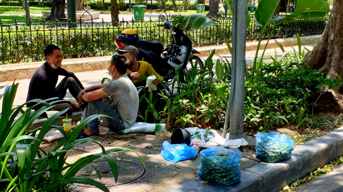 Phút nghỉ ngơi của những người hái sấu trên đường Trần Phú. Họ cho biết ngày thường trèo, hái, bán được hơn 1tạ quả sấu. Những hôm nắng nóng trên 40 độ C, chỉ trèo một lúc là hoa mắt, phải xuống ngay, không say nắng rất nguy hiểm, vì vậy chỉ hái được vài chục kg.