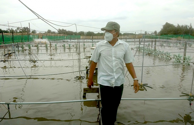 'Vua tôm' Cần Đước Nguyễn Văn Khải. Ảnh: Hồng Thuỷ.