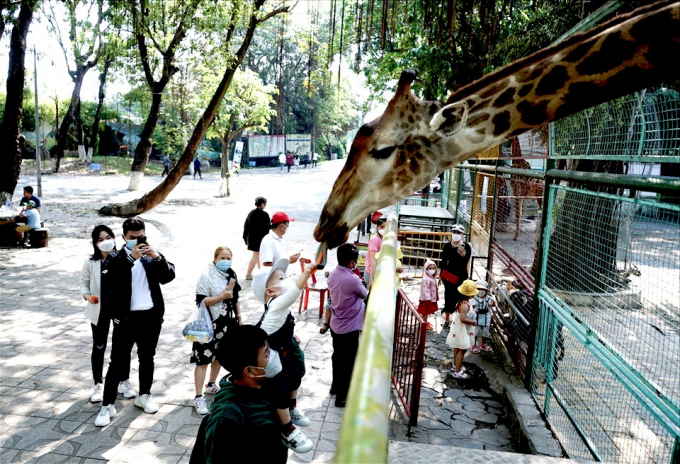 Khu vực vườn thú Đầm Sen là một trong những điểm thu hút nhiều trẻ em.