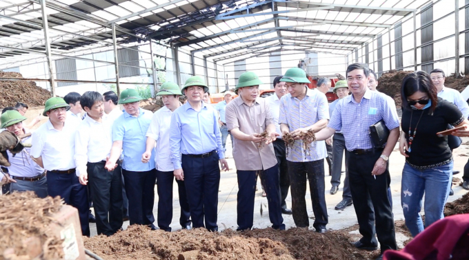 Ông Hà Văn Thắng (thứ hai từ phải sang) giới thiệu với Bộ trưởng Bộ NN-PTNT Nguyễn Xuân Cường (thứ tư từ phải sang) công nghệ chăn nuôi bò của T&T 159. Ảnh: Minh Phúc.