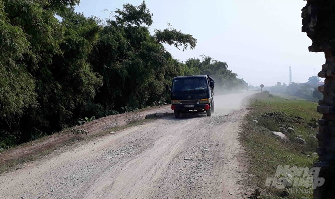 Dù mặt đê hữu sông Hồng chạy qua địa phận huyện Duy Tiên, Hà Nam được thiết kế tải trọng 12 tấn, nhưng xe tải thường xuyên chở cát, gạch lên đến 40 - 50 tấn. Ảnh: Kế Toại.