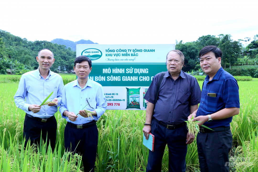 Lãnh đạo Sở NN-PTNT và đại diện Tổng công ty Sông Gianh thăm mô hình nông nghiệp dinh dưỡng tại xã Tân Pheo, huyện Đà Bắc, tỉnh Hòa Bình sử dụng phân bón Sông Gianh. Ảnh: Thái Văn.