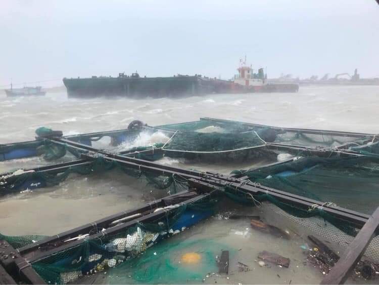 Một số lồng bè nuôi trồng thủy sản tại Lý Sơn (Quảng Ngãi) bị sóng đánh tan tác.