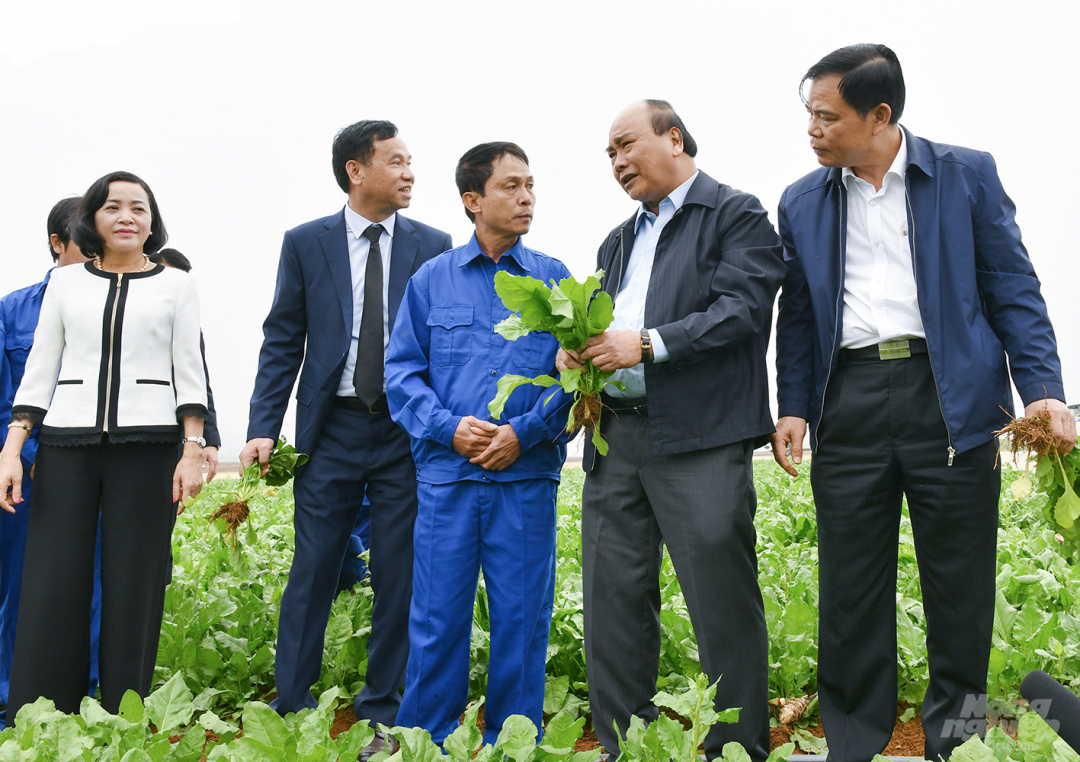 Thủ tướng Nguyễn Xuân Phúc trong một lần thăm nông trường Đồng Giao.