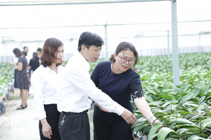 Sản xuất giống hoa lan công nghệ cao trong nhà kính tại huyện Đan Phượng, TP Hà Nội. Ảnh: Minh Phúc.