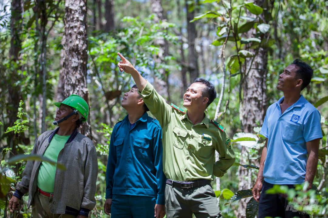 Dự án Rừng và Đồng bằng Việt Nam do Cơ quan Phát triển Quốc tế Hoa Kỳ (USAID) được thực hiện bởi Tổ chức Winrock International với sự phối hợp của Cục Lâm nghiệp Hoa Kỳ (USFS) nhằm hỗ trợ Việt Nam phát triển theo định hướng bền vững, thích ứng và giảm thiểu tác động của biến đổi khí hậu.