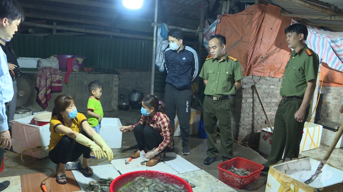 Thanh Tra Sở NN-PTNT Hà Nội phối hợp với Phòng An ninh kinh tế, Công an thành phố Hà Nội kiểm tra, bắt quả tang một cơ sở đang có hành vi bơm tạp chất vào tôm.