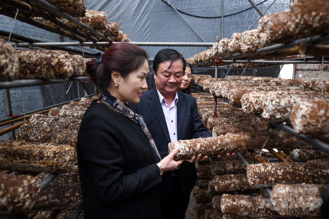Ông Lê Minh Hoan thăm cơ sở sản xuất nấm hương đặc sản trên đỉnh Mẫu Sơn tháng 12/2020. Ảnh: Tùng Đinh.