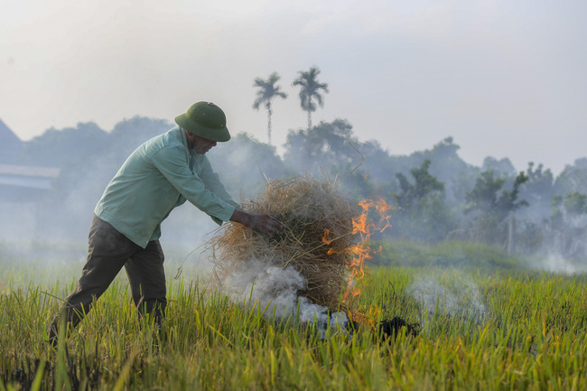 Việt Nam đang nỗ lực thực hiện các giải pháp để hạn chế nạn đốt rơm rạ gây ô nhiễm môi trường và lãng phí.