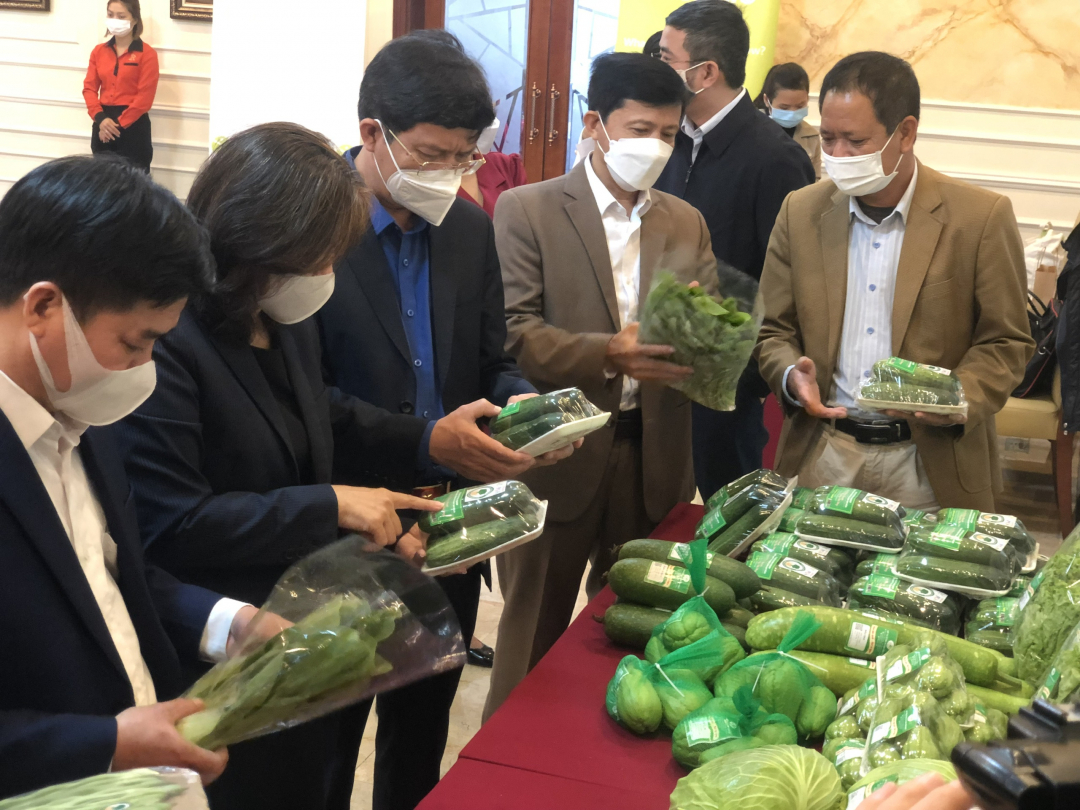 The program 'Building a sustainable vegetable value chain with smallholder farmers in Vietnam' for the 2017-2021 period is implemented by provinces and cities including Hanoi, Da Nang, Vinh Phuc, Tuyen Quang, and Ha Nam, coordinated with Rikolto In Vietnam.