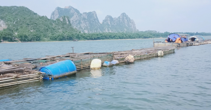Cá lồng của người dân Châu Hóa trên sông Gianh. Ảnh: Việt Khánh.