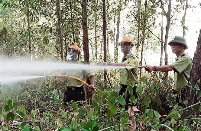  Triển khai mô hình chữa cháy rừng bằng xe bán tải cơ động tại Quảng Bình. Ảnh: N.Tâm