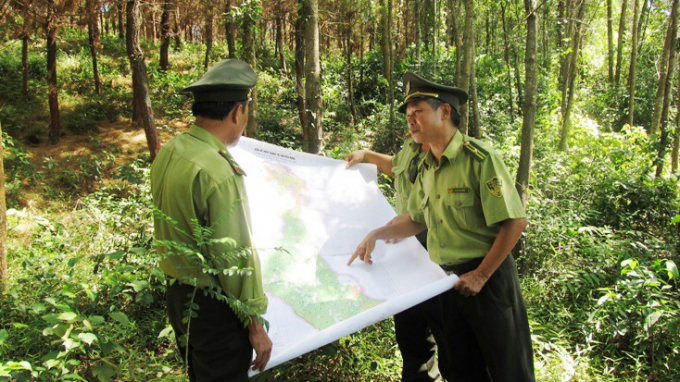 Lực lượng kiểm lâm Quảng Bình cùng các chủ rừng triển khai các biện pháp PCCCR tại chổ. Ảnh: N.Tâm
