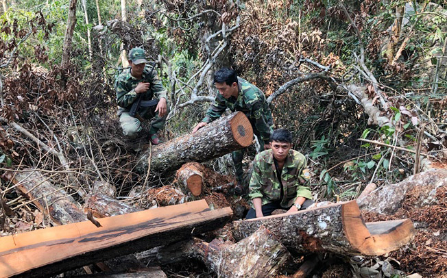 :  Lực lượng của VQG PN-KB phói hợp với BĐBP Quảng Bình trong việc tuần tra kiểm soát bảo vệ rừng. Ảnh: T.Phùng